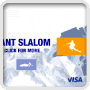 Visa